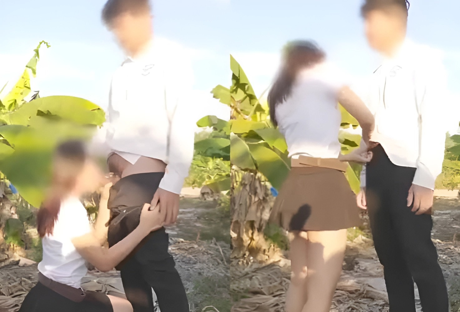 Chăn được em rau ở vườn chuối